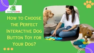 How to Choose the Perfect Interactive Dog Button Toy for Your Dog