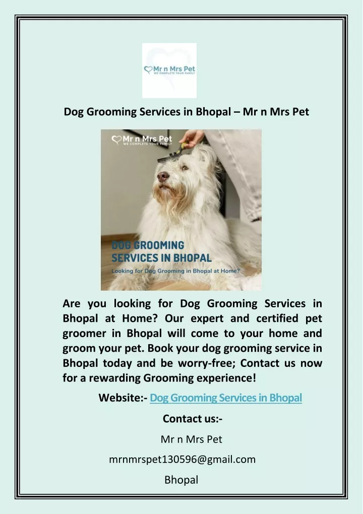 dog grooming services in bhopal mr n mrs pet
