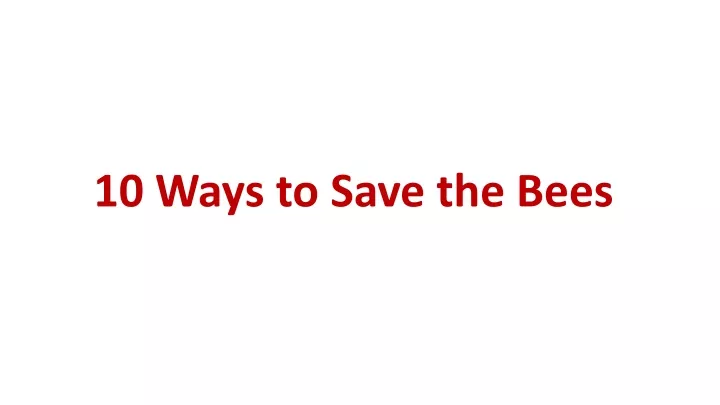 10 ways to save the bees