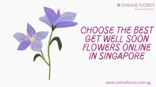 Choose The Best Get Well Soon Flowers Online in Singapore