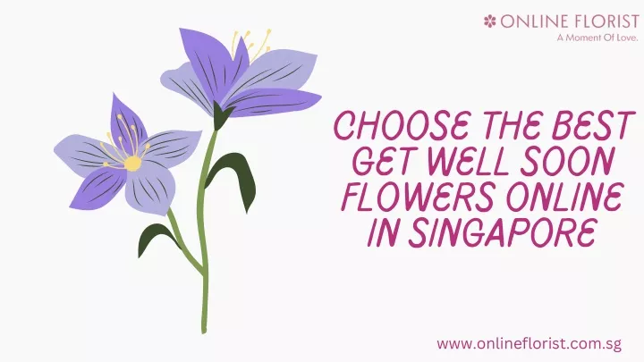 choose the best get well soon flowers online