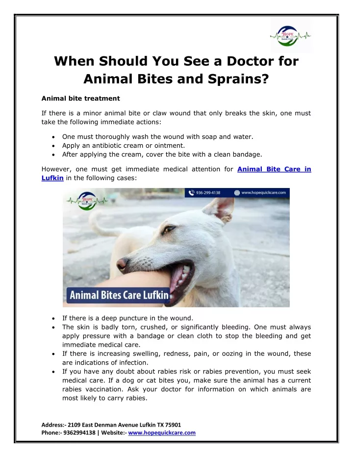 when should you see a doctor for animal bites