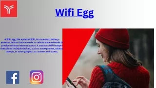 Wifi Egg