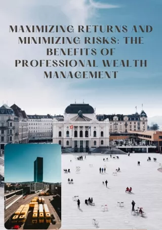 Maximizing Returns and Minimizing Risks The Benefits of Professional Wealth Management