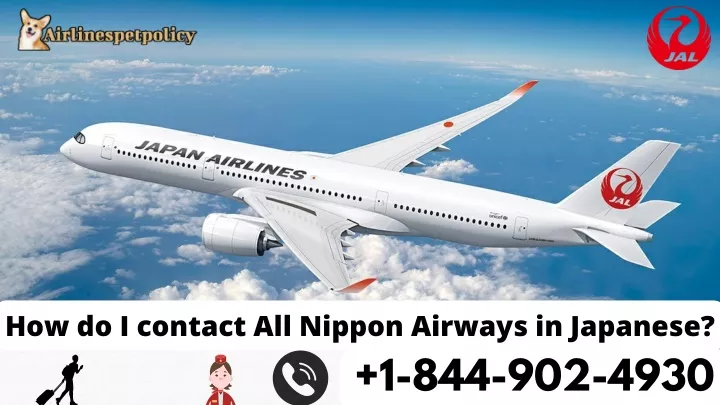 how do i contact all nippon airways in japanese