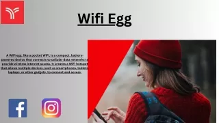 Wifi Egg