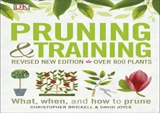 Download PDF Pruning and Training, Revised New Edition: What, When, and How to P