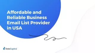 Affordable and Reliable Business Email List Provider in USA