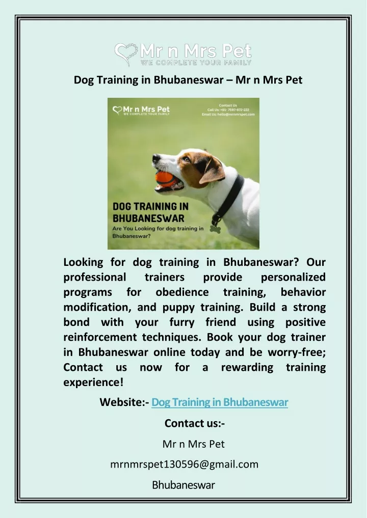 dog training in bhubaneswar mr n mrs pet