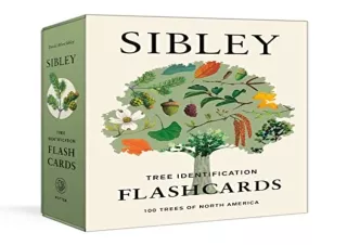 Ebook (download) Sibley Tree Identification Flashcards: 100 Trees of North America