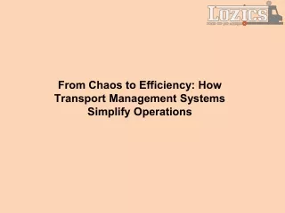 from chaos to efficiency how transport management