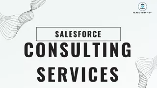 Salesforce Consulting Services: Empower Your Business - FEXLE