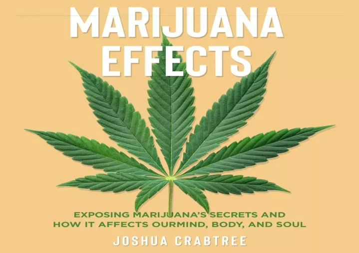 marijuana effects exposing marijuana s secrets