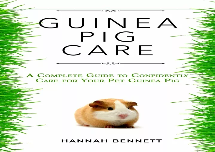 guinea pig care a complete guide to confidently
