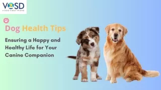 Dog Health Tips