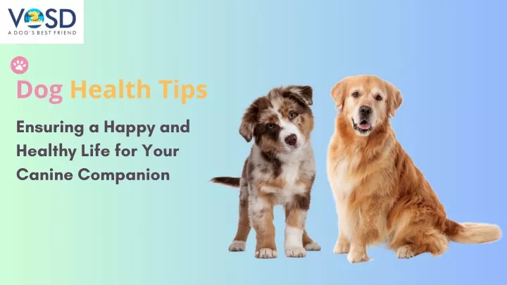 dog health tips