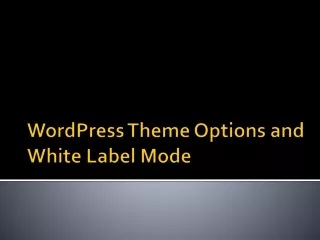 wordpress theme options and white label mode