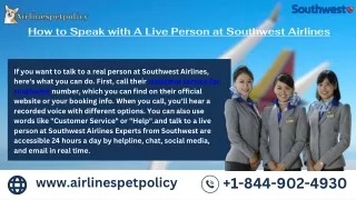 How to Speak with A Live Person at Southwest Airlines