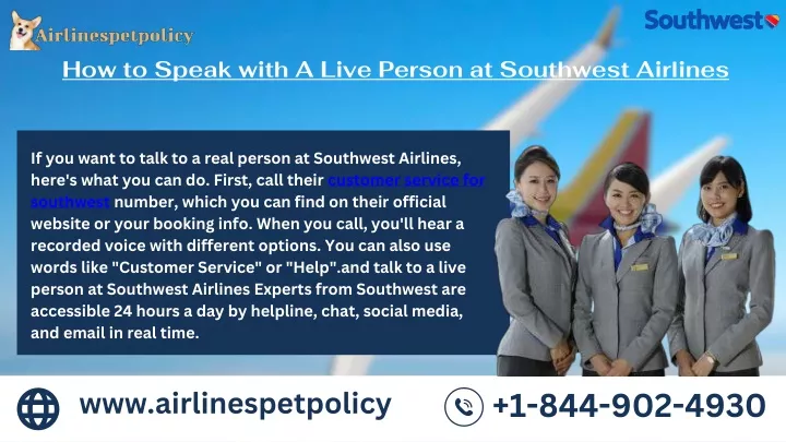 how to speak with a live person at southwest