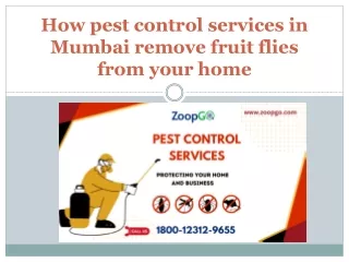 How Pest Control Service in Mumbai Keep You Free From Diseases