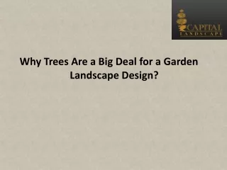 Why Trees Are a Big Deal for a Garden Landscape Design?