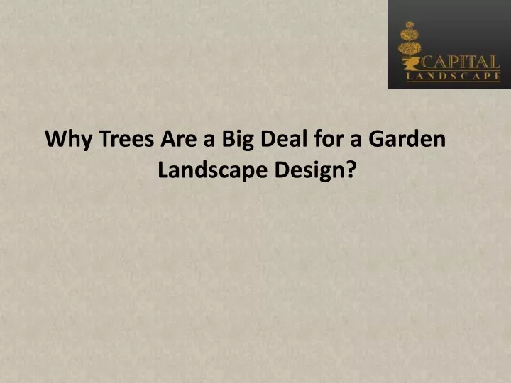 why trees are a big deal for a garden landscape