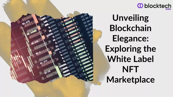 unveiling blockchain elegance exploring the white