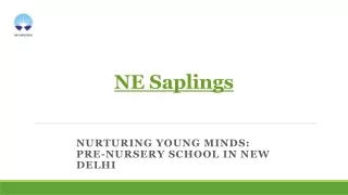 NE Saplings Pre Nursery School - Nurturing Young Minds in New Delhi
