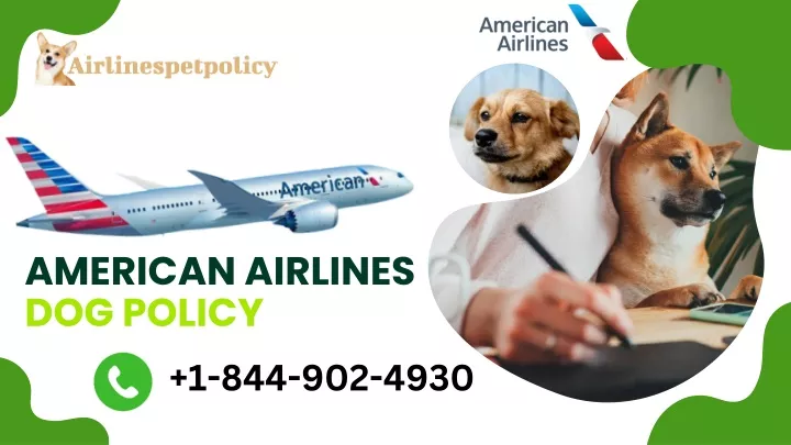 american airlines dog policy 1 844 902 4930