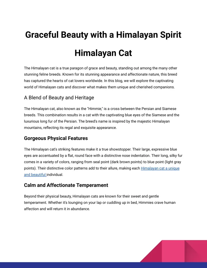 graceful beauty with a himalayan spirit