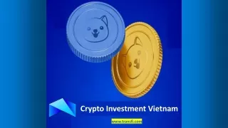 Crypto Investment Vietnam