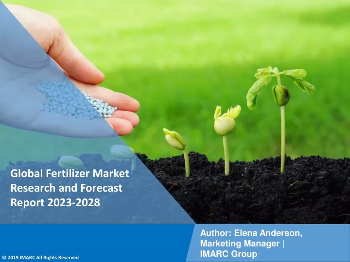 global fertilizer market research and forecast