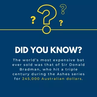 World most expensive cricket bat