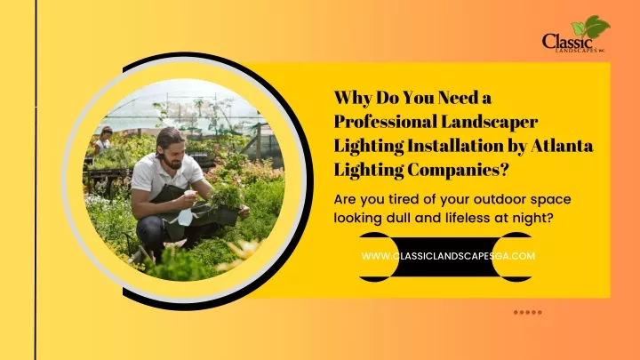 why do you need a professional landscaper