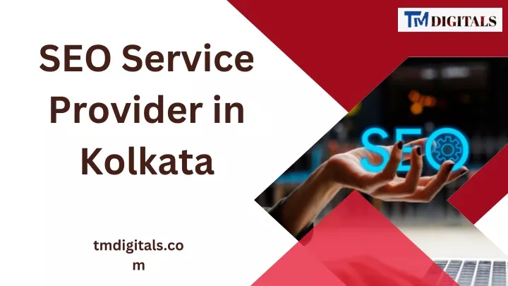 seo service provider in kolkata