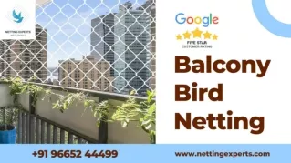 Balcony Bird Netting - WhatsApp & Call  91 96652 44499