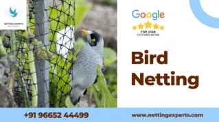 Bird Netting - WhatsApp & Call  91 96652 44499