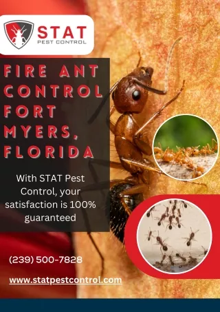 Fire Ant Control Fort Myers, FL