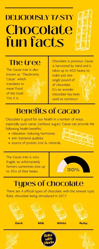 Tan Brown Pink Chocolate Fun Facts Infographic