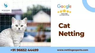 Cat Netting - WhatsApp & Call  91 96652 44499