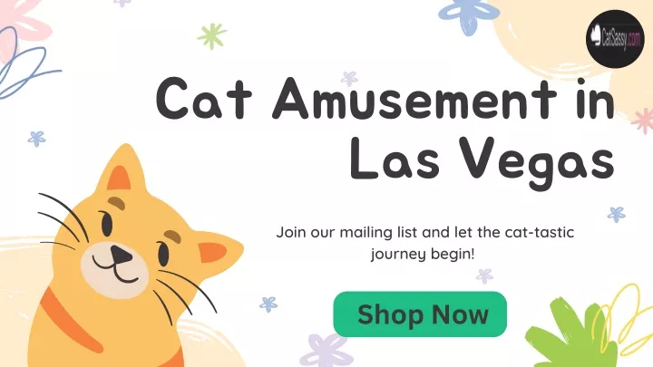 cat amusement in las vegas