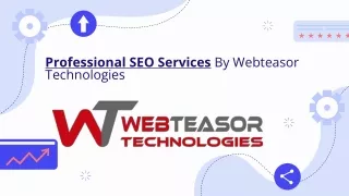 Professional SEO Services By Webteasor Technologies