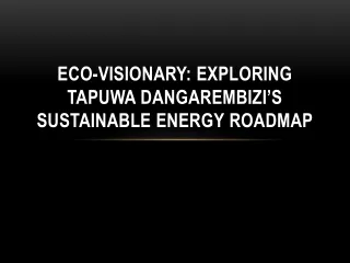 eco visionary exploring tapuwa dangarembizi s sustainable energy roadmap