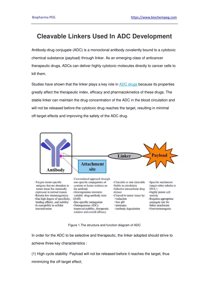 biopharma peg https www biochempeg com