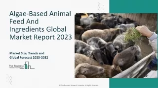 algae based animal feed and ingredients global