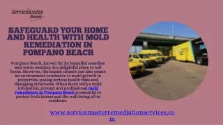 Safe And Thorough Mold Removal In Pompano Beach