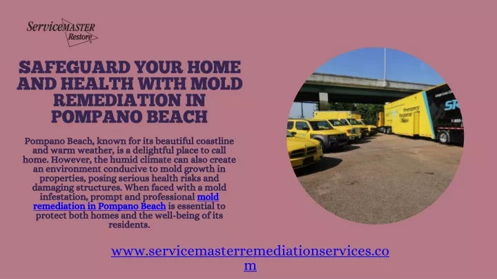 safeguard your home and health with mold