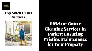 Gutter Cleaning Parker