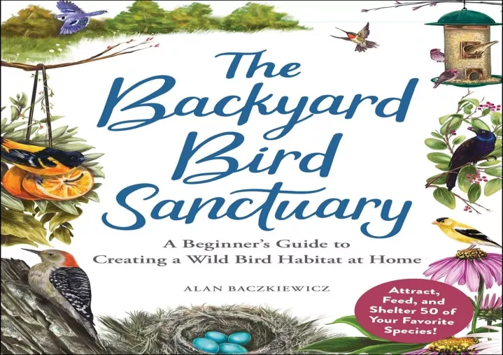 the backyard bird sanctuary a beginner s guide