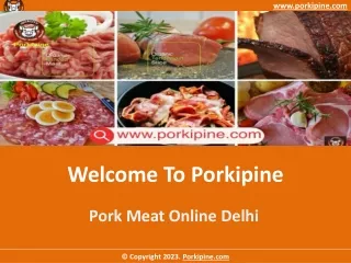 www porkipine com